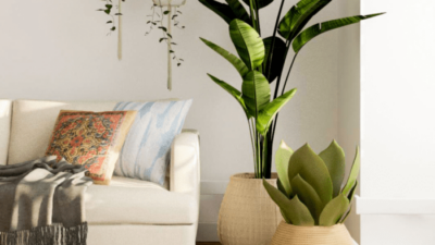 How to Decorate Room with Fake Plants