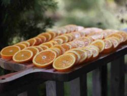 How to Make Dried Oranges for Decoration A Creative DIY Guide